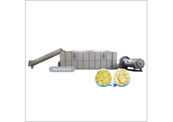 potato  dryer/drying machine